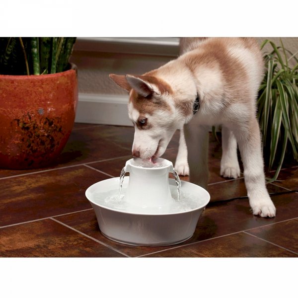 DrinkWell Avalon 陶瓷寵物噴泉 2L  (DW05)