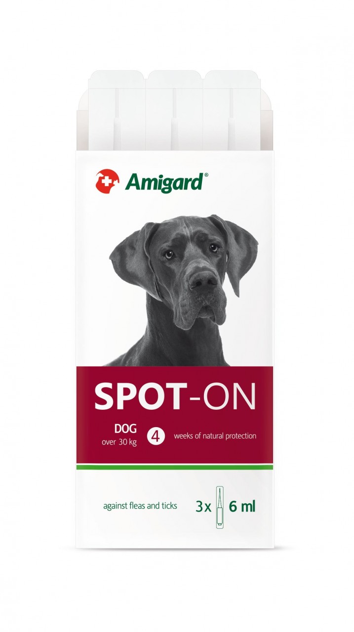 Amigard Spot-On 安格 狗防蚤滴 30kg以上 3×6ml