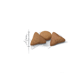 Royal Canin 法國皇家 Indoor 室內成貓食量控制營養配方 (Appetite Control)  乾糧 4kg