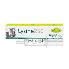 Mervue lysine 250 30ml