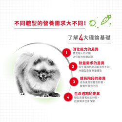 Royal Canin 法國皇家 X-Small Adult 超小型成犬營養配方 乾糧 3kg