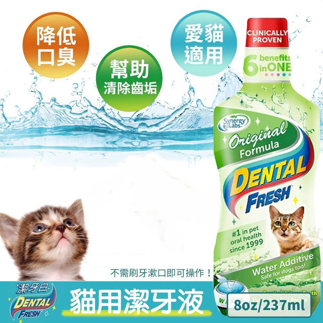 潔牙白 Dental Fresh Original Formula 237ml (8oz)