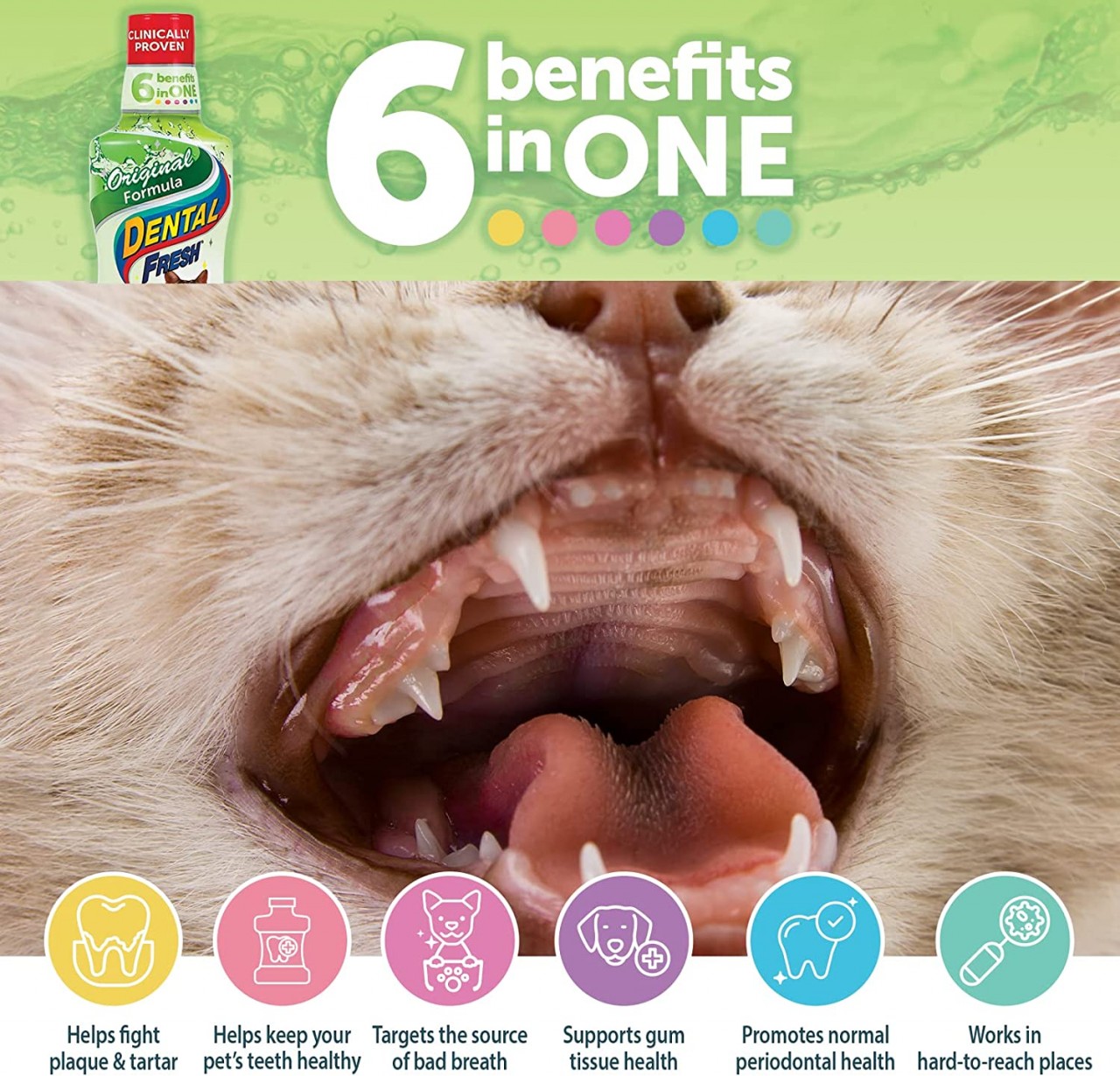 潔牙白 Dental Fresh Original Formula 237ml (8oz)