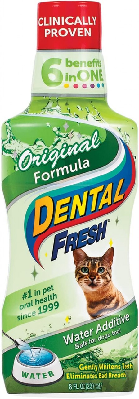 洁牙白 Dental Fresh Original Formula 237ml (8oz)
