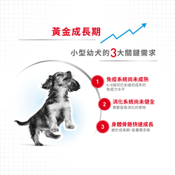 Royal Canin 法國皇家 Mini Puppy 小型幼犬營養配方 乾糧 2kg