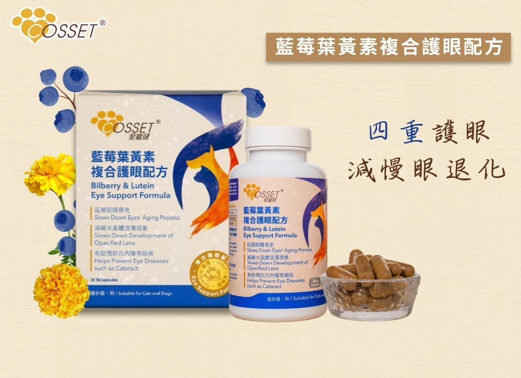Cosset 愛寵健 - 藍莓葉黃素複合護眼配方 30粒