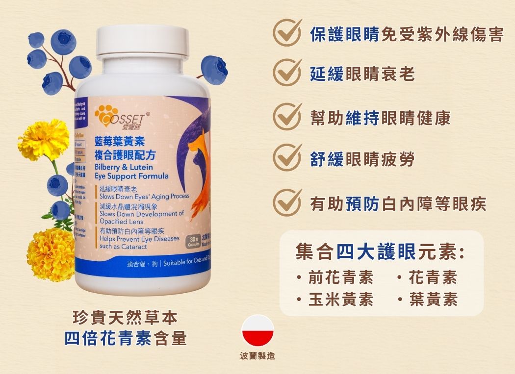 Cosset 愛寵健 - 藍莓葉黃素複合護眼配方 30粒