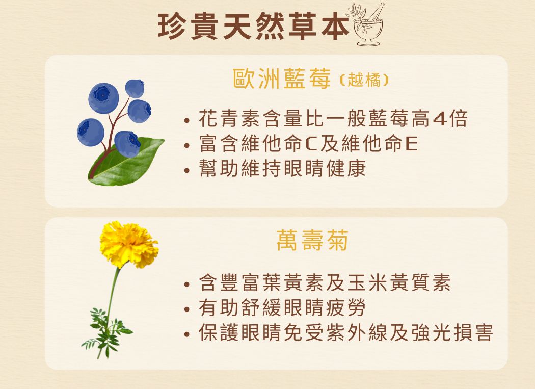 Cosset 愛寵健 - 藍莓葉黃素複合護眼配方 30粒
