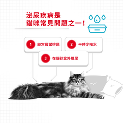 Royal Canin 法國皇家 Urinary Care 成貓泌尿道加護配方 乾糧 4kg