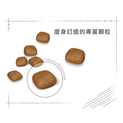 Royal Canin 法國皇家 Urinary Care 成貓泌尿道加護配方 乾糧 10kg