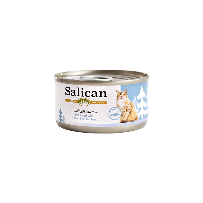 Salican 挪威森林 海洋魚 (肉汁) Ocean Fish in Gravy 貓罐頭  85g