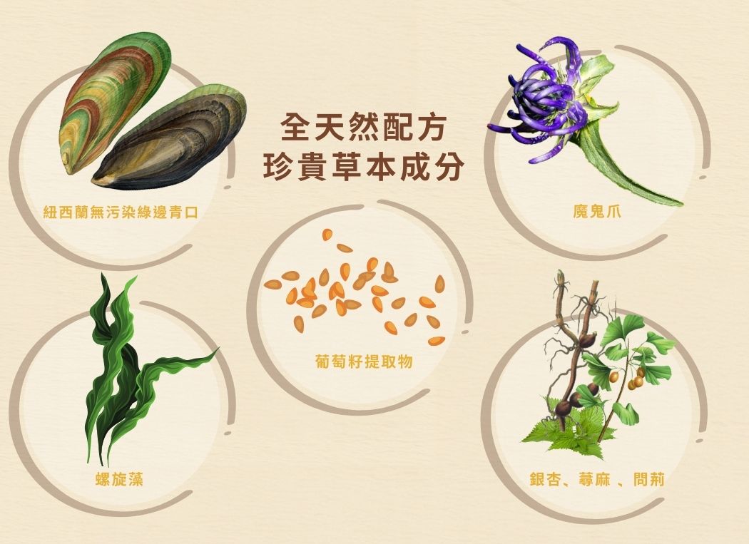 Cosset 愛寵健 天然舒痛關節保健配方 60g