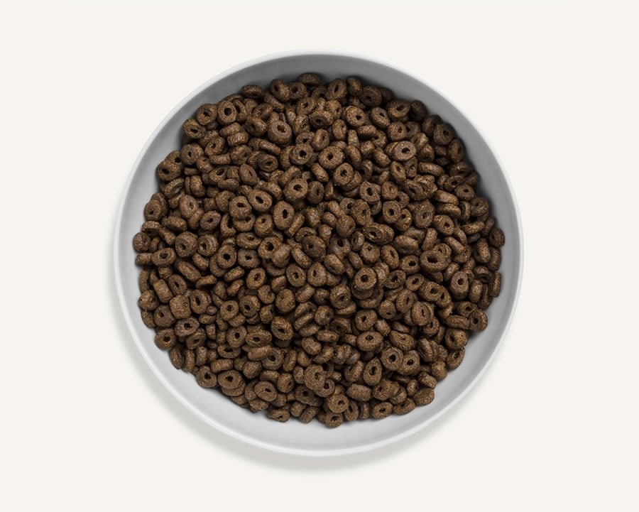 Canagan 無穀物 蘇格蘭三文魚配方 犬糧 (小型犬用) 2kg