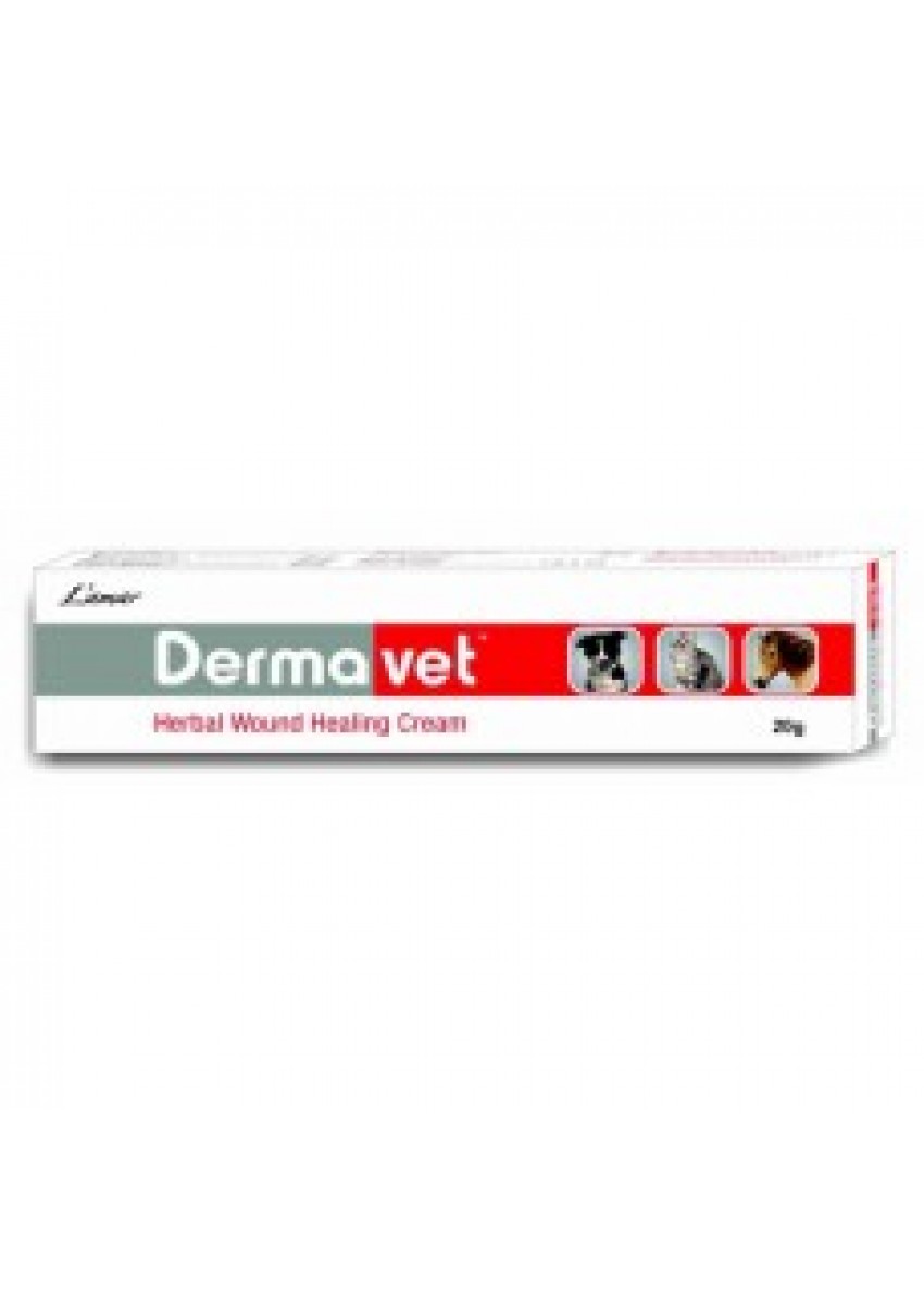 Dermavet 草霸療傷膏 20g