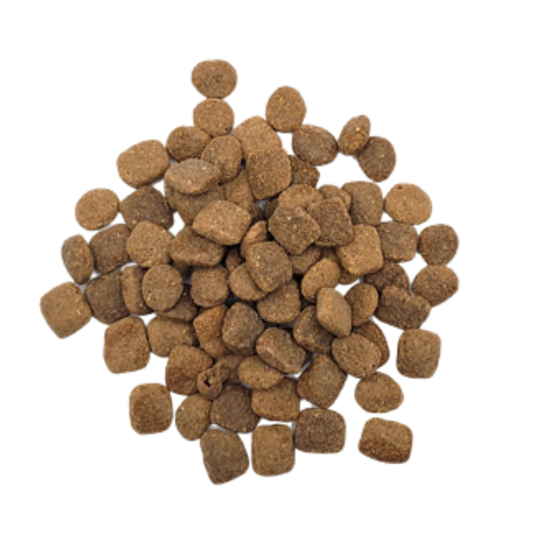 RAWZ 單一動物蛋白來源配方 無穀物鴨肉全犬乾糧 3.5磅